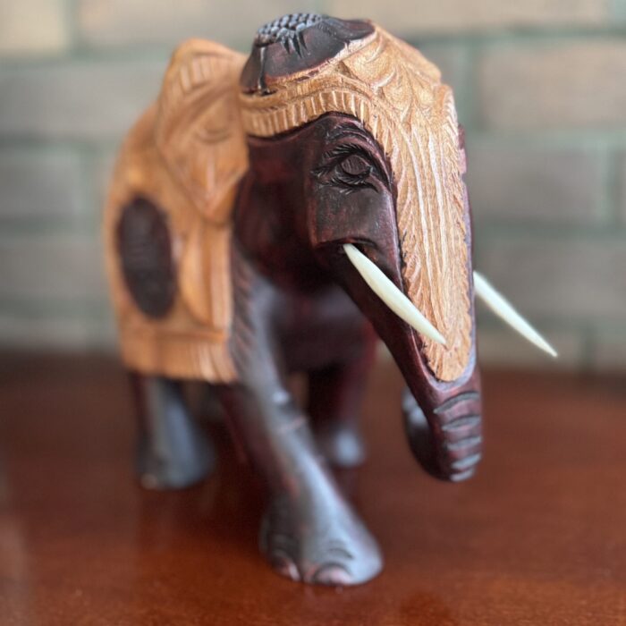 Dramblys 1 Dramblys 1