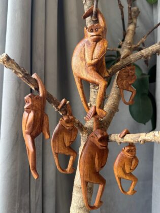 Beždžionių Šeima