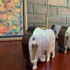 WhatsApp Image 2025-10-08 at 10.47.56