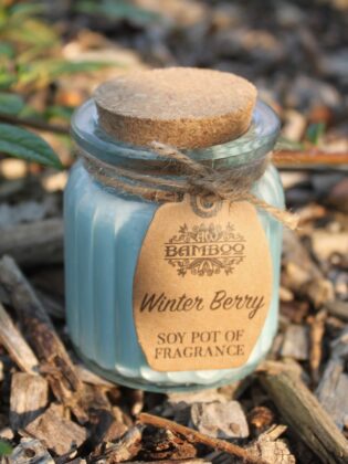 Žiemos Uogų Kvalnioji Sojų Žvakė